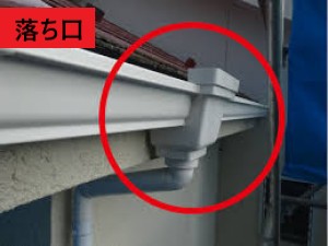 雨樋　落ち口